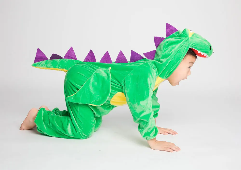 dinosaur cartoon kid costume