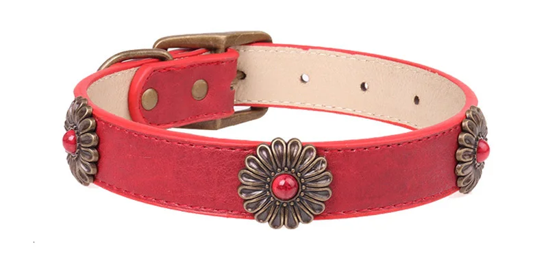 dog collar leather