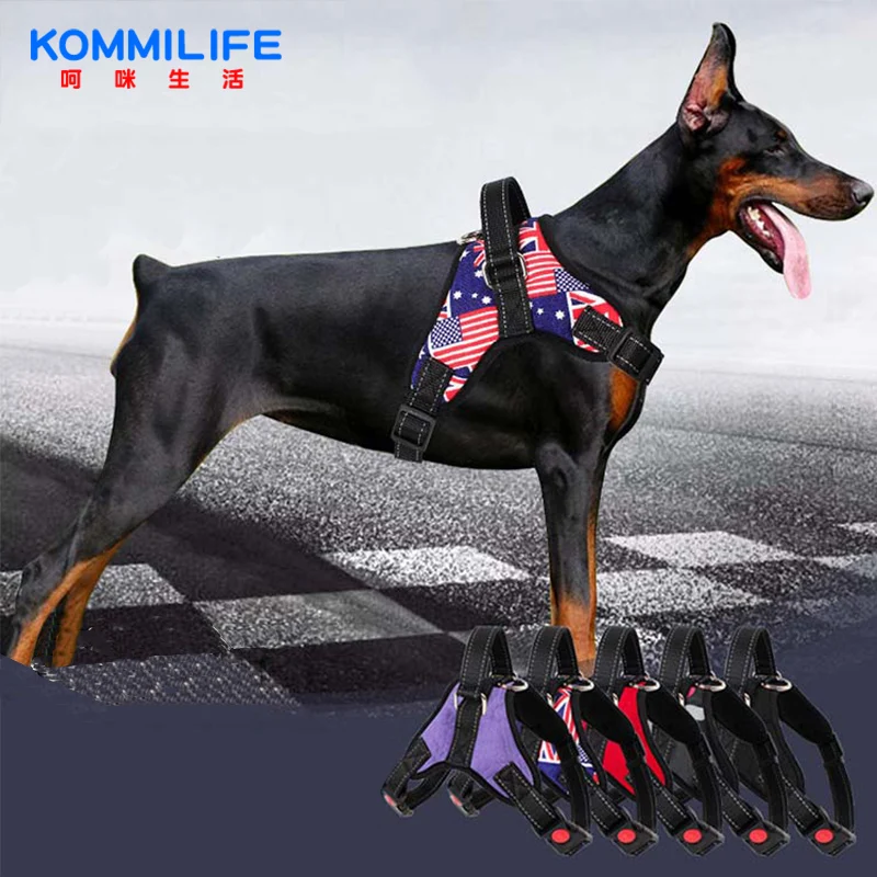 

Adjustable Nylon Dog Harness Vest Breathable Mesh No Pull Dog Harness And Leash Set Small Medium Large Pet Dog Collar Reflective