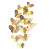 Gold B 12pcs