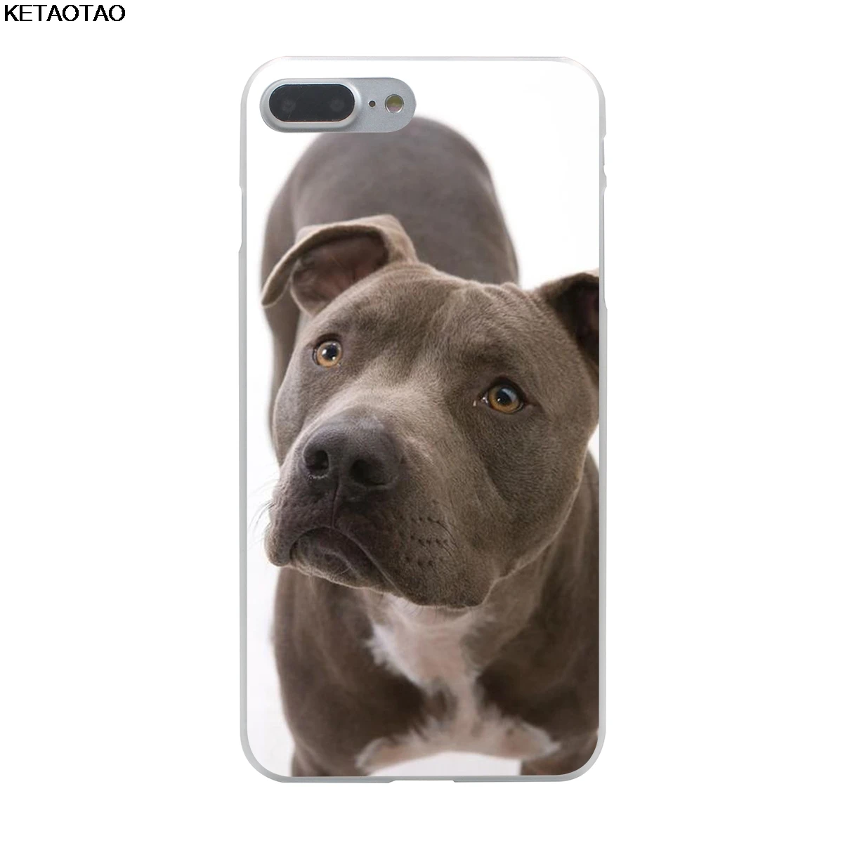 Чехол для телефона KETAOTAO Pitbull dog s для iPhone 4S SE 5C 5S 6S 7 8 Plus X XS XR 11 Pro Чехол кристально чистый мягкий TPU чехол s - Цвет: Слоновая кость