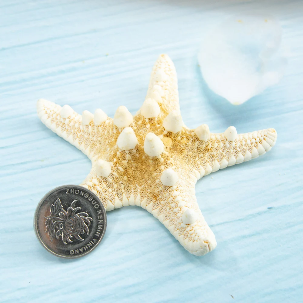 Hbe2d4e7d8d034922b9cfb61ee77aaa1fH.jpg?width=1000&height=1000&hash=2000