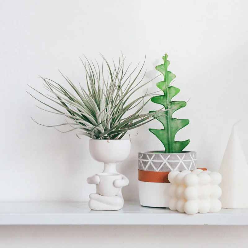 O1CN01tCMogs1kralGNlmct_!!411044737