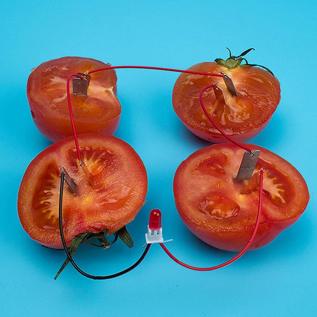 뜨거운 바이오 에너지 과학 키트