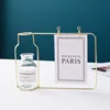 Nordic Hydroponic Glass Vase Wrought Iron Vase Photo Frame Decoration Table Flower Vases Decoration Home Metal Plant Holder 4