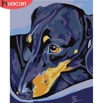 

HUACAN Oil Painting By Number Dog Animals Drawing Canvas Acrylic Handpainted Pictures By Number Wall Art Gift Home Decor