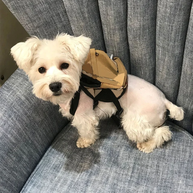 backpack harness for small dogs