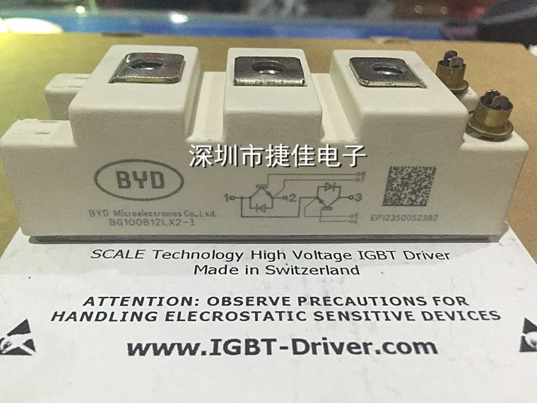 BG75B12LX2 BG100B12LX2 BG50B12LX2-I BG100B12LX2-1-я