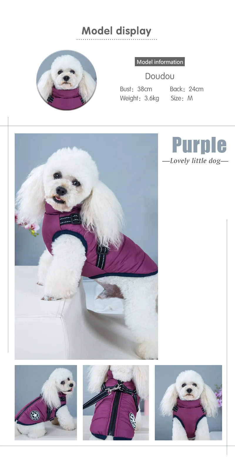 19050740814_926934974