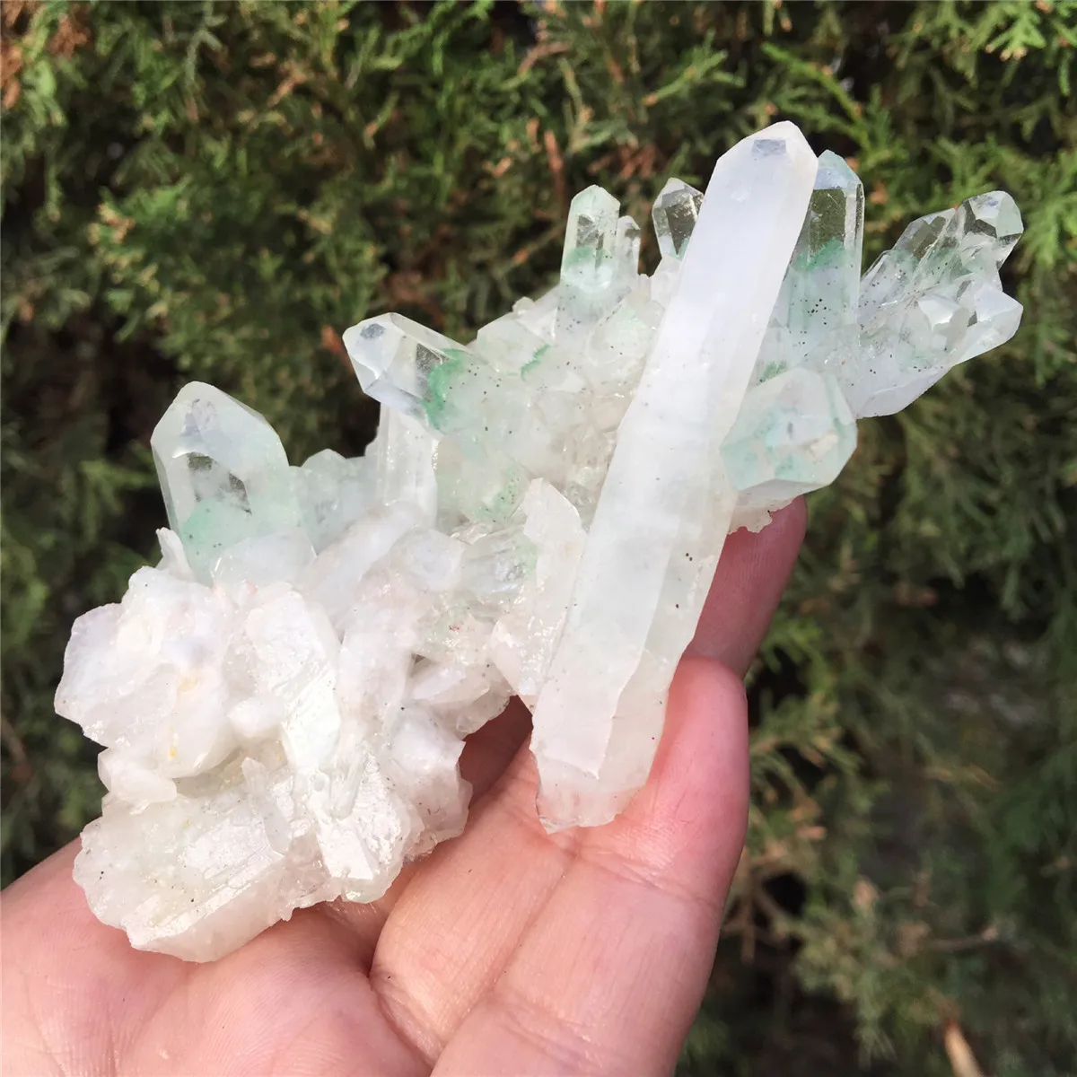 1 шт. натуральный зеленый Ghost Phantom Quartz кристалл кластера Исцеление образец отправлен случайным образом