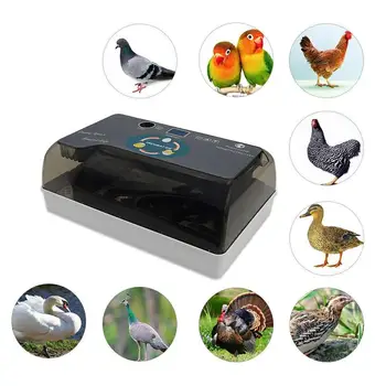 

Hot 12 Eggs Fully Automatic Incubator Digital Eggs Poultry Hatching Egg Turning Temperature/Humidity Control for Chickens Ducks