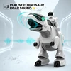 Remote Control Robot Dinosaur Toys  Dinosaur Roar With LED Lights Mist Spray Intelligent Touch Function Toy For Children Gift 5
