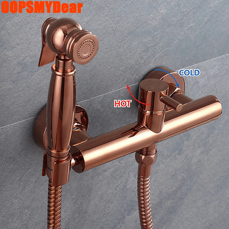 Toilet Hand Held Bidet Spray Hot Cold Bidets Faucet Wall Mount Rose