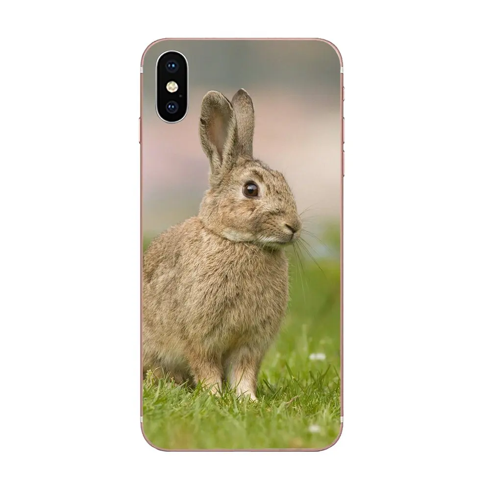 Лидер продаж мода обложка чехол для телефона с изображением кролика Банни Galaxy J1 J2