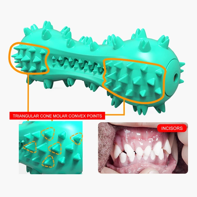 Juguetes para Perro de 12 Piezas- Juguete para Masticar, Juguete para  Perros Molar de Goma Duradero, Utilizado para Jugar, Limpiar Los Dientes,  Juego