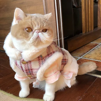 

Luxury Sweet Cat Harness Jacket for Cats Winter Warm Pet Cat Clothes Gatos Katten Clothing Mascotas Kedi Coat Suit Cat Costume