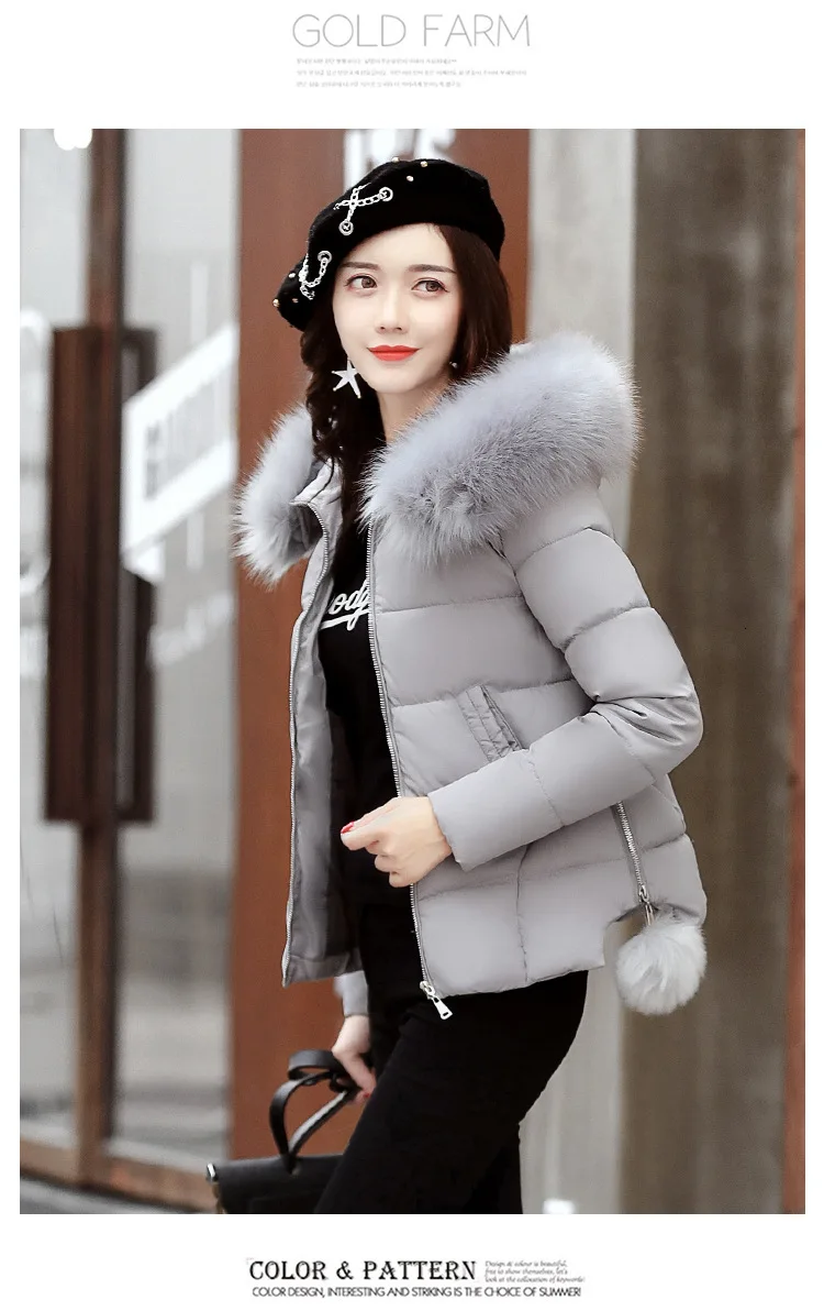 8996891559_1006637240