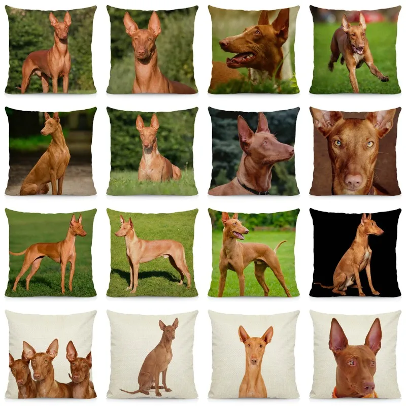 

Cute Pharaoh Hound Pillowcase Home Decoration Throw Pillow Covers Dog Pattern Cushion Cover 45x45cm DWG053