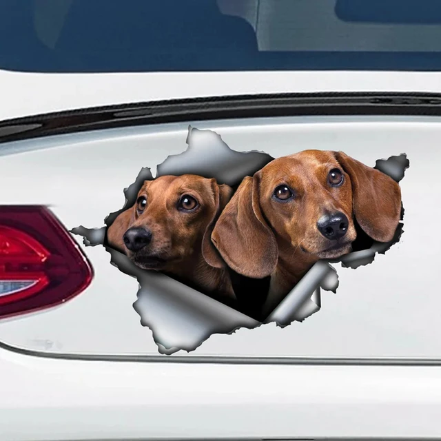 Adesivi Bassotto Divertenti - 15 Pezzi Impermeabili Per Paraurti, Laptop E Decorazioni