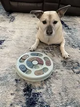 Rompecabezas interactivo de entrenamiento IQ para perros, comedero lento para perros, dispensador de alimentos para comer lentamente, tazón antideslizante, juego para perros de compañía