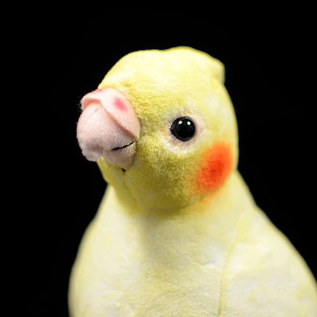 Perroquet en peluche Animal oiseau poupée parlant artificiel réaliste,  modèles d'ornement animaux Cockatiel oreiller pour enfants - AliExpress