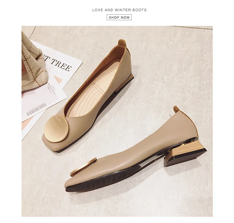 11608259425_1725694848