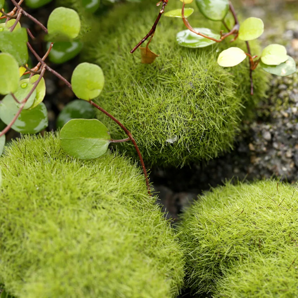 Новинка искусственная смола зеленый моховый шар 3 размера растение Marimo для