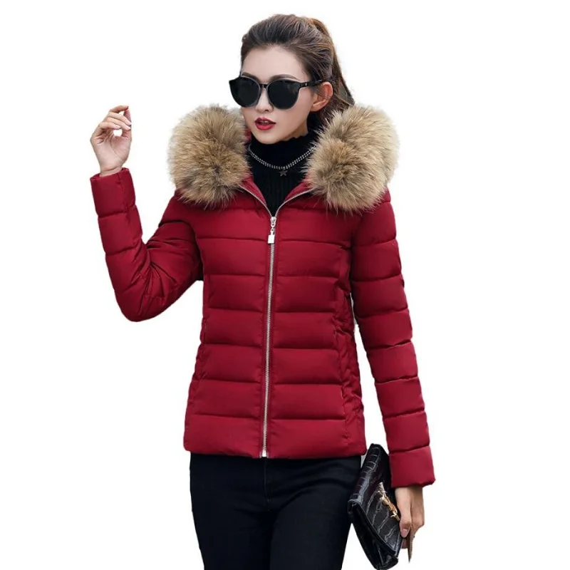 

Winter Jacket Women 2018 new winter fur collar down jacket women short paragraph Slim thickening women's cotton jacket S-XXXL