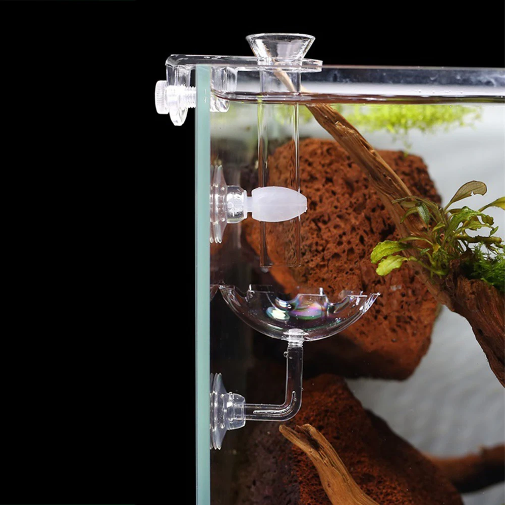 С блюдо прозрачный твердый крабы моллюски домашнего аквариума Практические