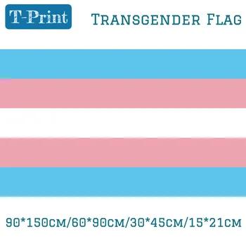 

10PCS Flag Transgender Pride Flag 3x5FT Brass Grommets 40*60cm Car Flag 90*150cm/60*90cm/15*21cm For Event / Office