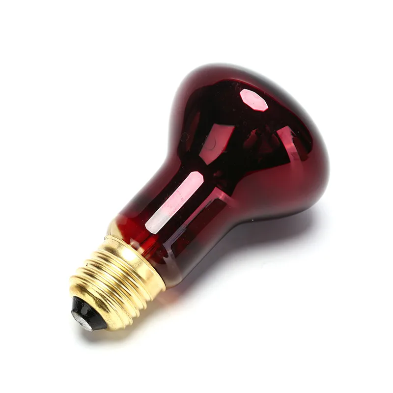 40W-60W-Pet-Heating-Lamp-E27-Day-Night-Amphibian-Bird-Snake-Basking-Sun-Lamp-Heat-Reptile (1)_