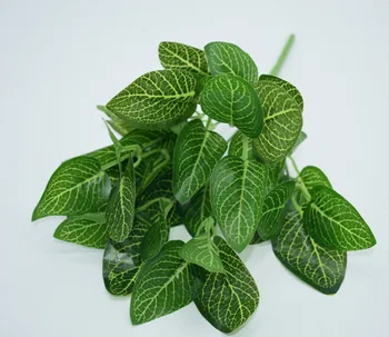 

Lamination Model Green Textured Small Plant Reticulation Leaf Peanut Leaf