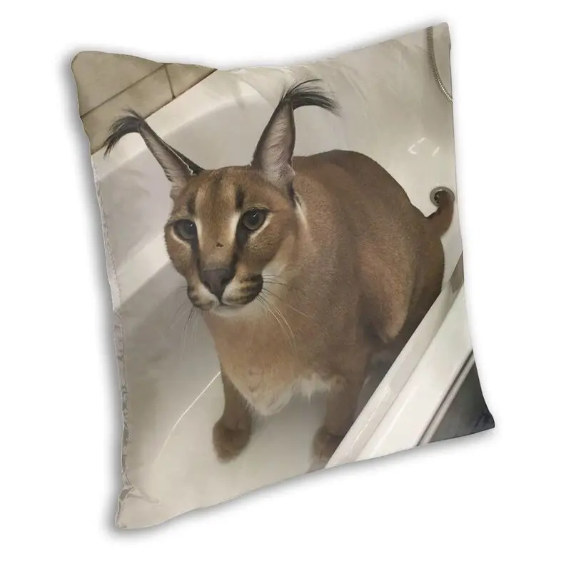 Drunk Floppa Meme Caracal Cat | Art Print