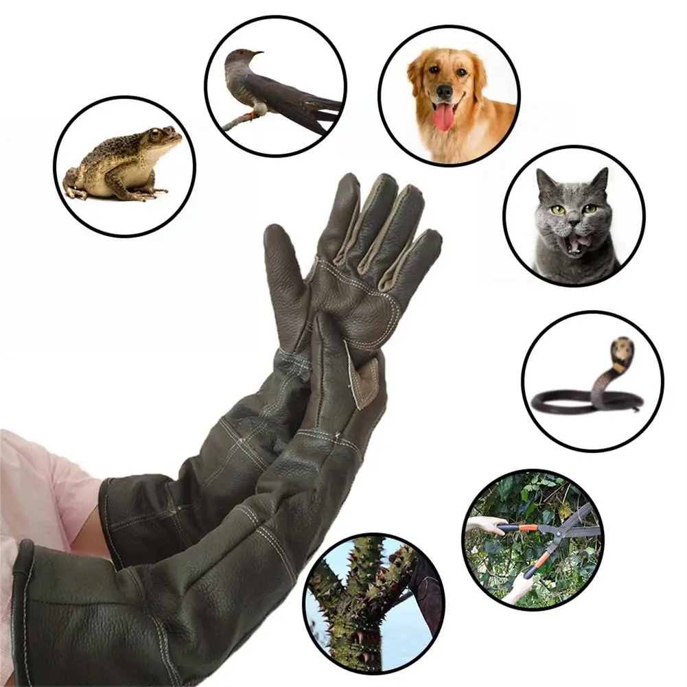1 Pair Pet Gloves Handling Gloves Strengthened Leather Anti Bite Protective For Cat Dog And Gardening Work