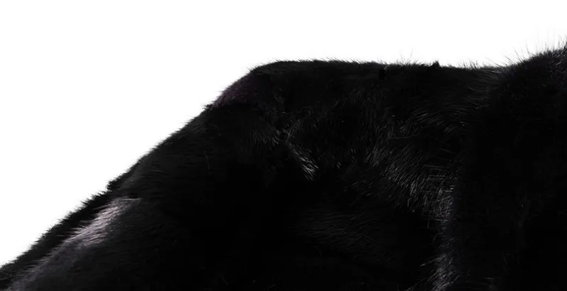 conew_tb2kcomphorbknjszfjxxc_spxa_!!752378797_conew1