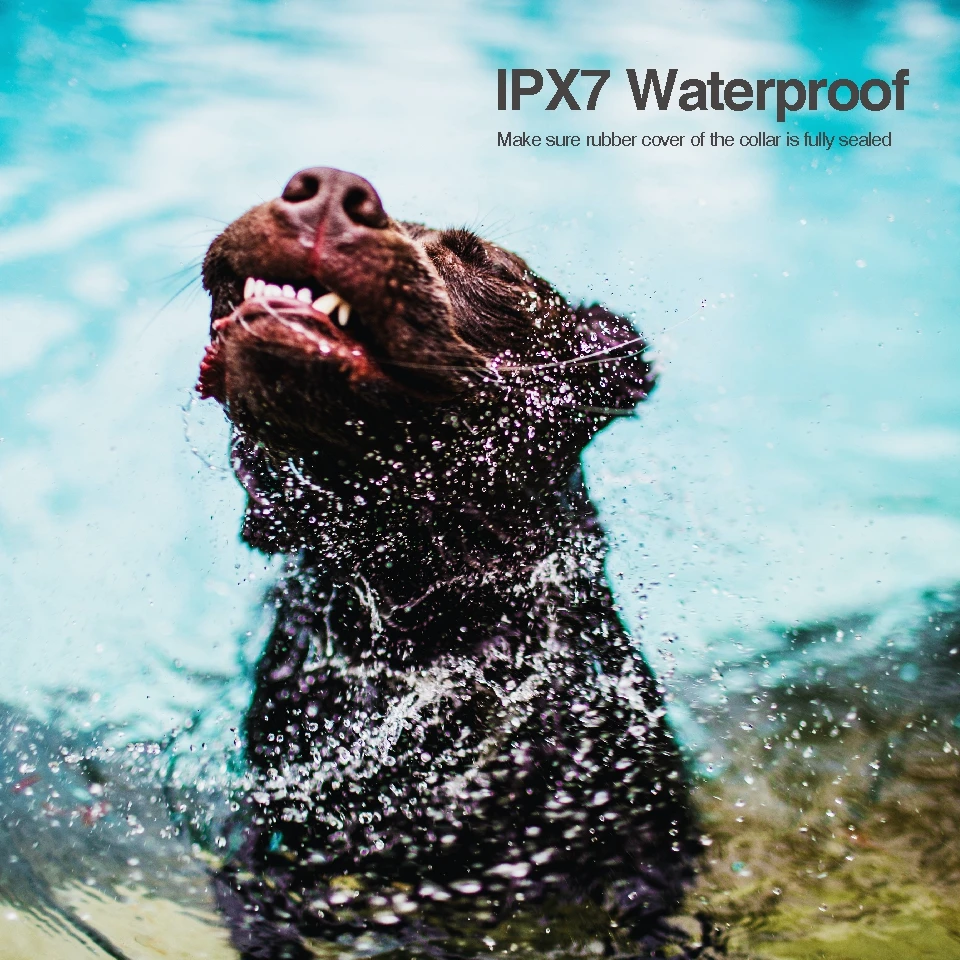 Hbe6837bc45e64a47a28e10be3bdaf063p