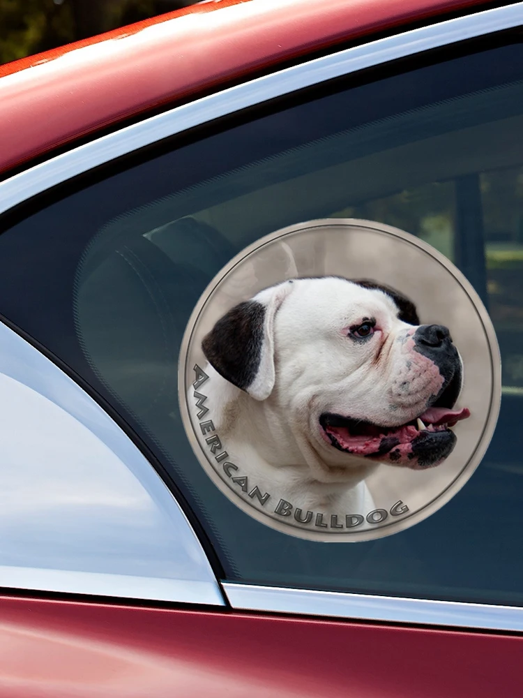 British Bulldog Puppy, English Bulldog Wing Mirror, Bumper, Car Body