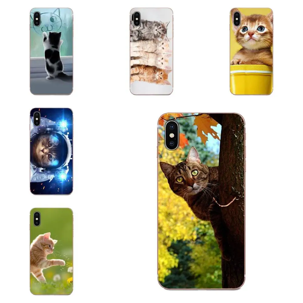 Cat Pets Face Lovely Cel TPU хит продаж для Huawei P7 P8 P9 P10 P20 P30 Lite Mini Plus Pro Y9 Prime P Smart Z 2018 2019|Бамперы| |