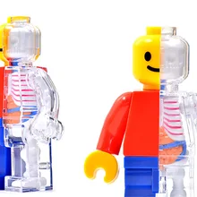 4D мастер-артист Джейсон Фрей образовательный Собранный классический стиль кирпичи люди прозрачный скелетный анатомия