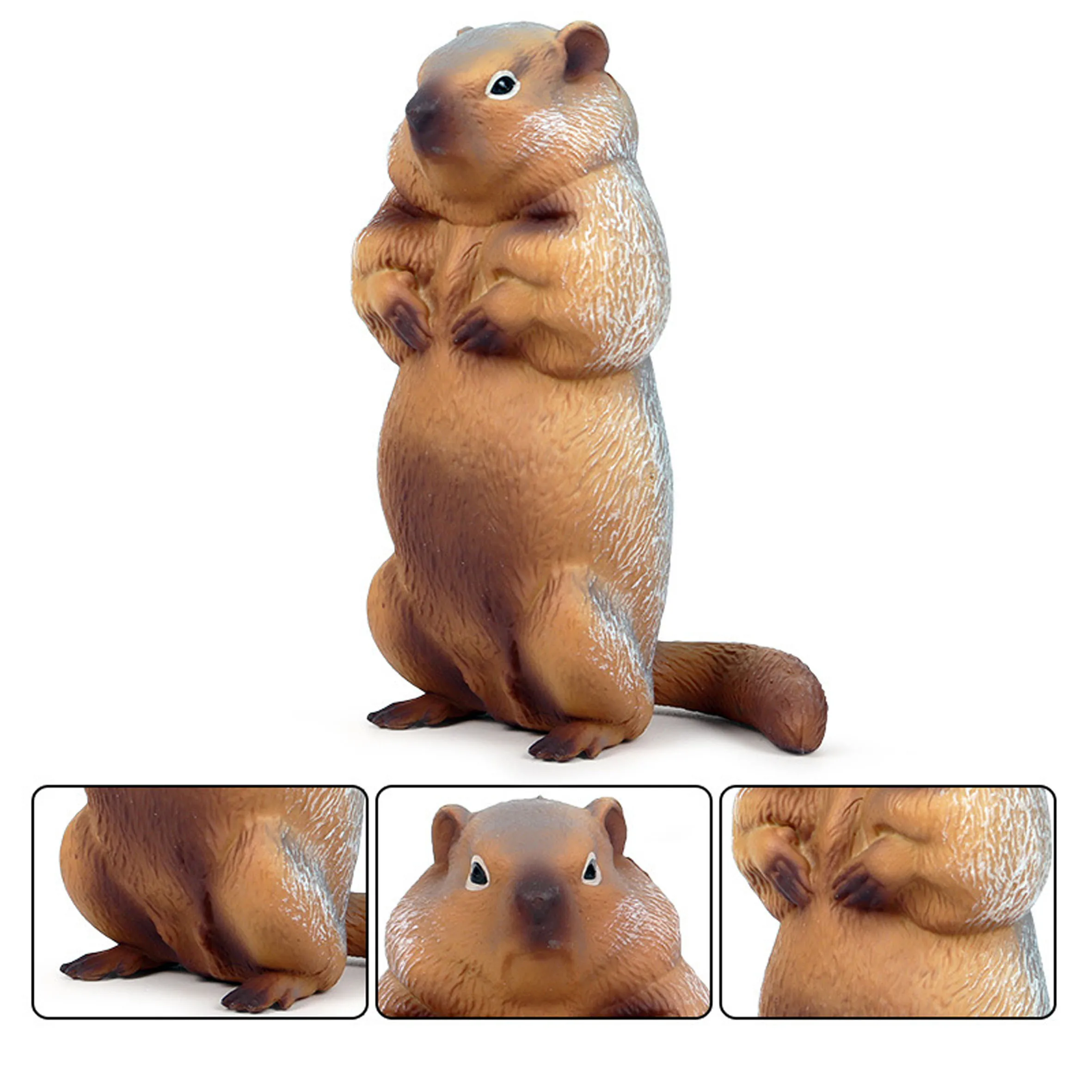 Super Earth Digger Animal Marmot пластиковая фигурка модель восхитительная Дикая жизнь образовательный подарок на день рождения для подростка коллекция игрушек