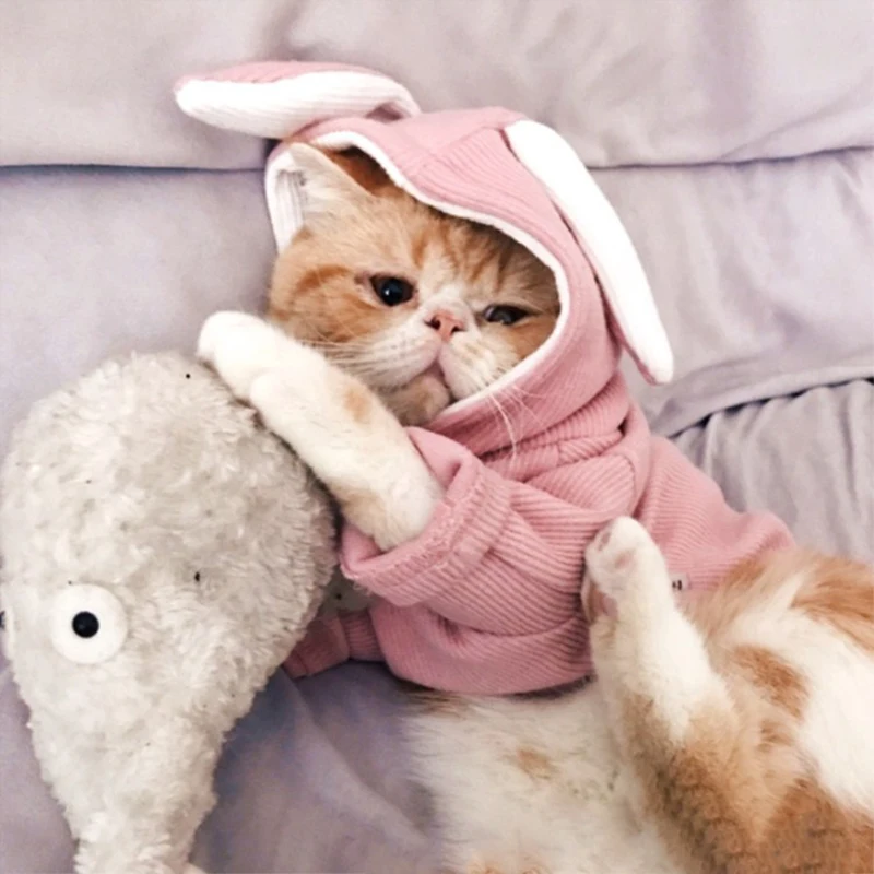 Супер милая одежда для домашних животных, котов, кроличьих ушек, котенка, жилет, рубашка для собак, подходит для длинных и коротких волос, одежда для кошек, дышащая, моющаяся