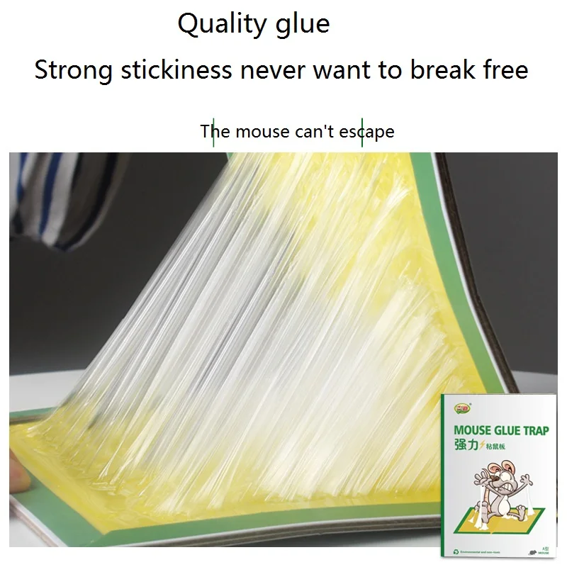 2-11172840477_1124398428