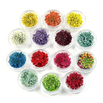 

20pcs/jar Dried Flowers Nail Decorations Jewelry Natural Floral Dry Flower 3D Nail Art Designs Polish DIY Manicure Accessories