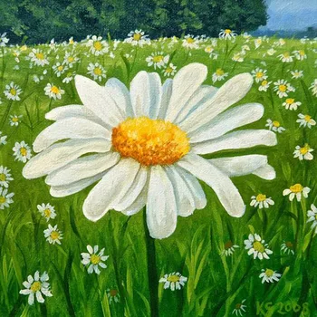 

5D DIY Diamond Painting Daisy Flower White Flower Diamond Embroidery picture rhinestone diamond mosaic Home decor Handmade Gifts