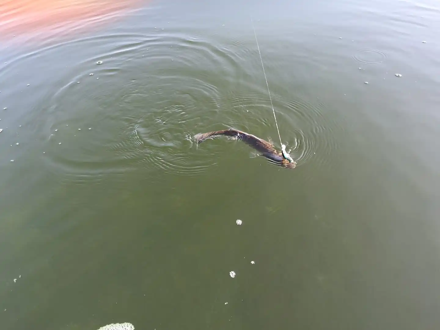 Hunthouse рыболовные приманки 60 г приманка для кальмара свинцовая головка