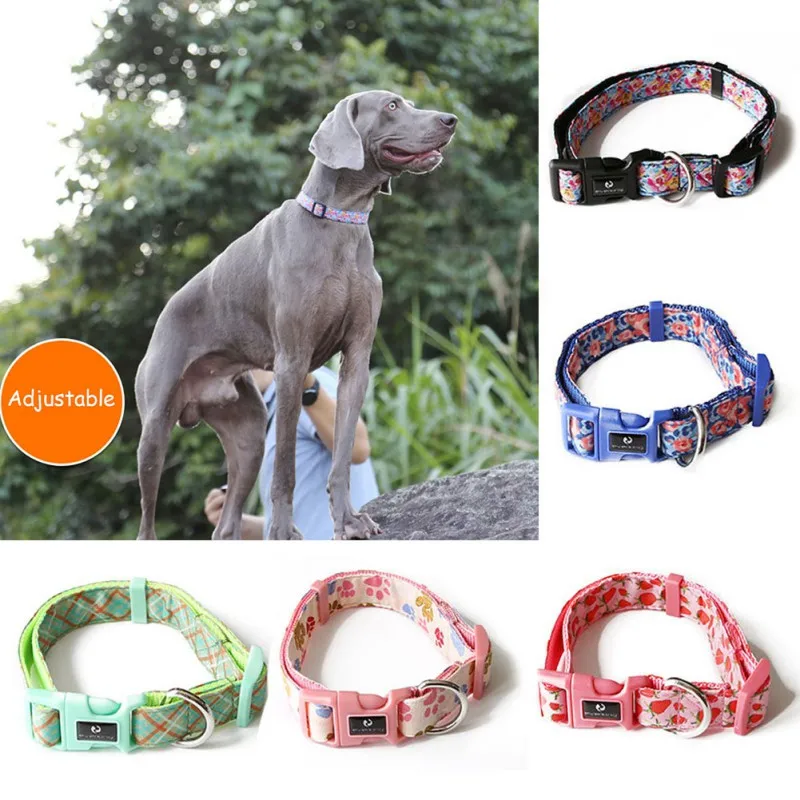 BM0290 (2)