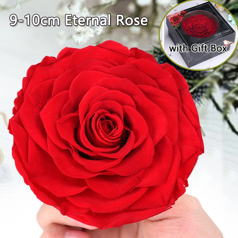 

High Quality Preserved Flowers Immortal Rose 9-10CM Diameter Dried Flower Red Eternal Rose Valentines Day Gift Box Wedding DIY