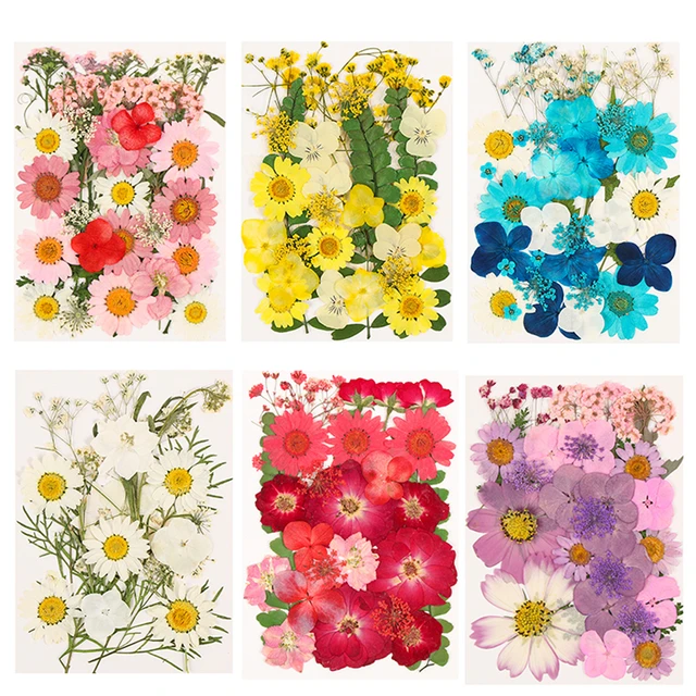 花を作るための3d圧縮樹脂 手作り ジュエリー作りのための本物の花 Aliexpress Mobile