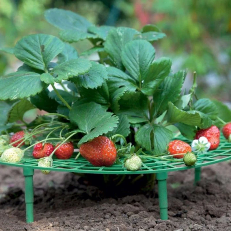 10Pcs Plant Plastic Tool Strawberry Gg Circle Support Rack Farming Frame Gardening Vine