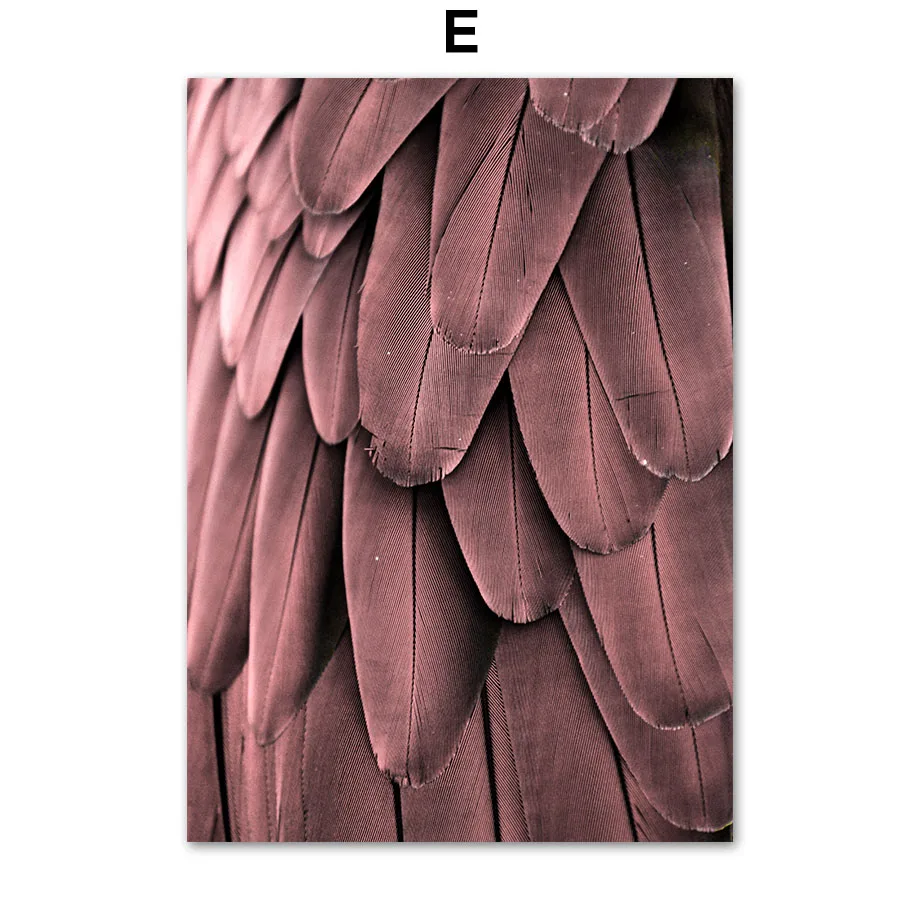 Scandinavian-Fashion-Pink-Flower-Feather-Nordic-Posters-And-Prints-Wall-Art-Canvas-Painting-Wall-Pictures-For (7)